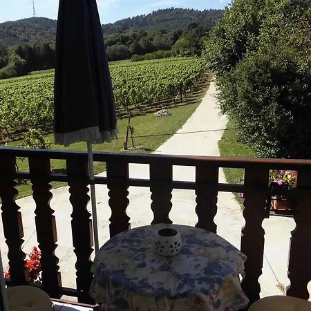Aux Vignes Apartment