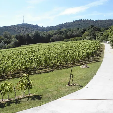 Aux Vignes Apartment *