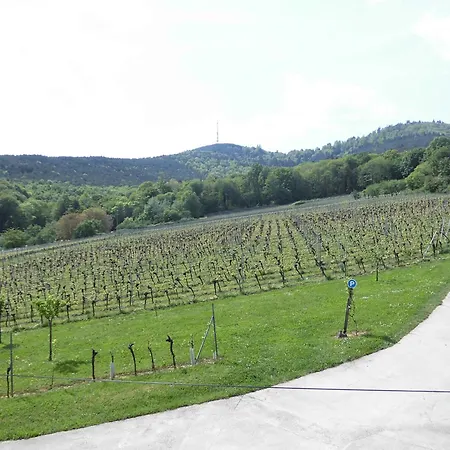 Aux Vignes Apartment Rott