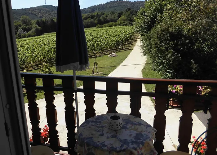 Aux Vignes 아파트