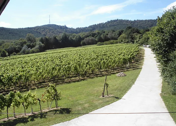 Aux Vignes 아파트 *